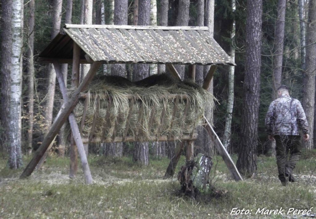 Dokarmianie 2017/2018